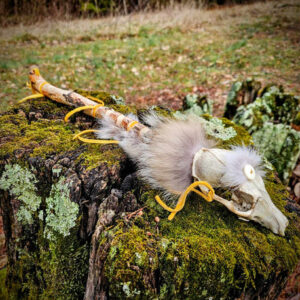 Ritual Fox Skull Meditation Medicine Rattle