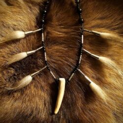 Wolf Hair Elk Antler Necklace