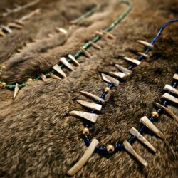 Shell Spike, Glass Bead, & Brass Bead Handmade Necklaces